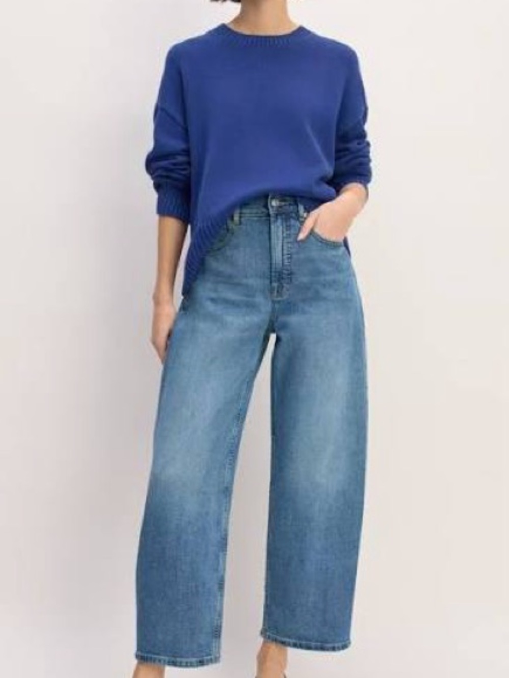 Everlane Way High Curve Barrel Leg Jean in Vintage Blue 25R